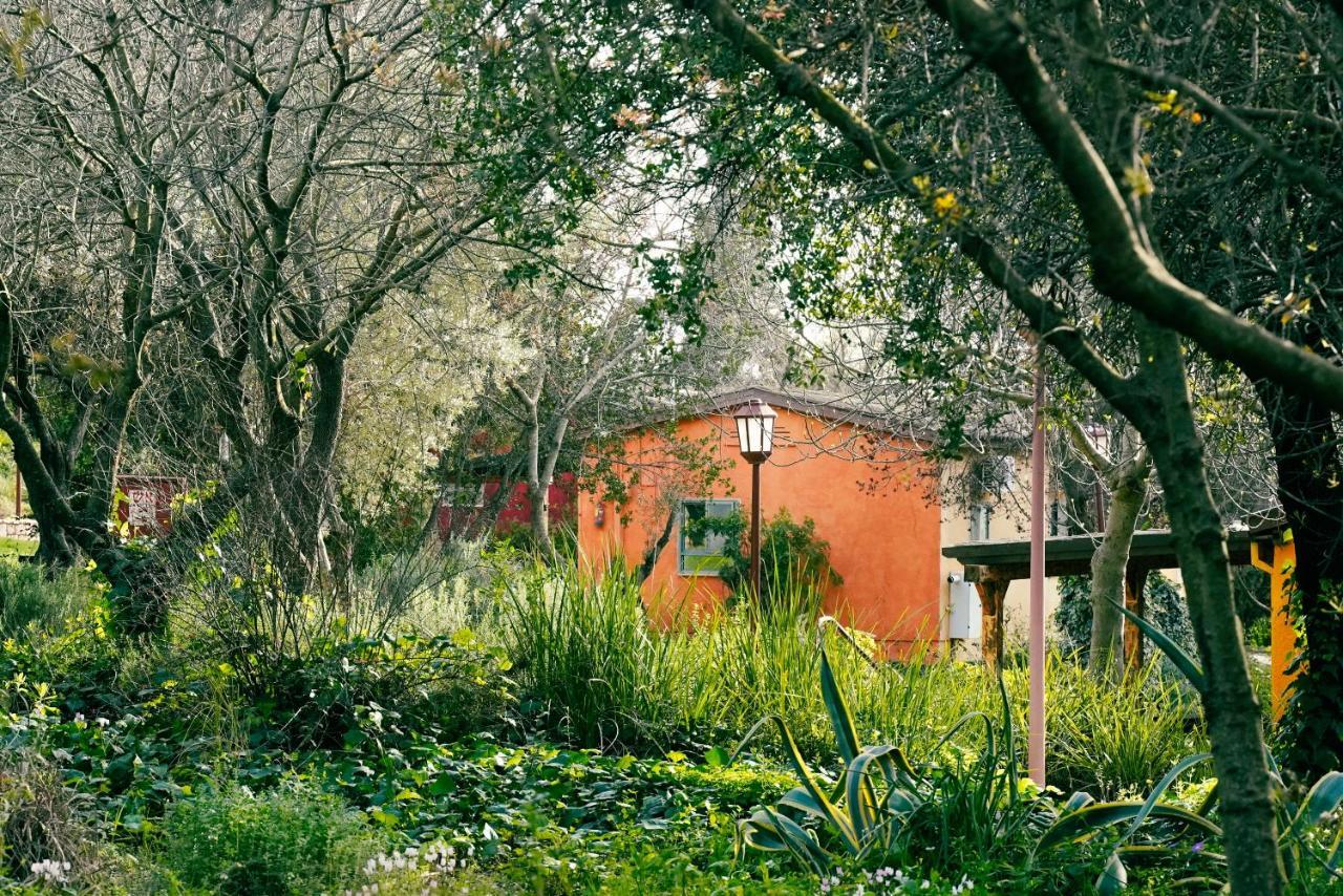 Parod Country Lodge エクステリア 写真