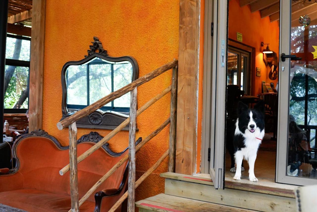 Parod Country Lodge エクステリア 写真